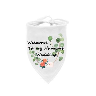 OEM Eco-friendly Custom Printing Triangular Cotton Fabric Washable Pet Dog Kerchief